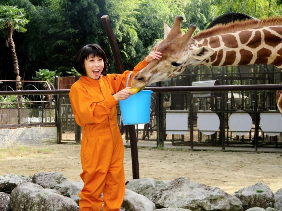 水森かおり 今年は動物園の掃除に挑戦 餌やりで鹿に倒される 芸能 デイリースポーツ Online