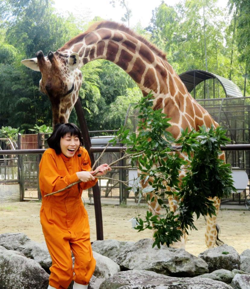 水森かおり 今年は動物園の掃除に挑戦 餌やりで鹿に倒される 芸能 デイリースポーツ Online