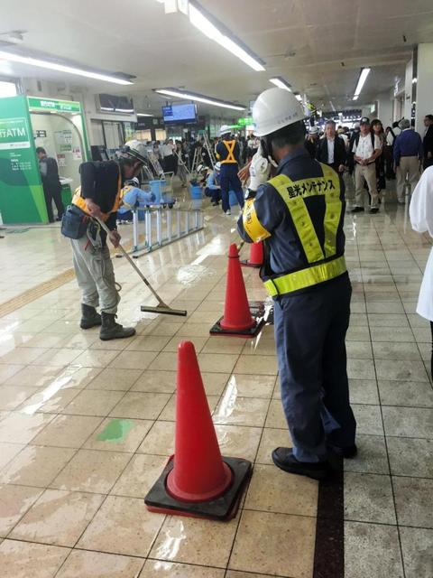 熊本市長 デマツイートに注意呼びかけ 熊本地震では ライオン逃げた の嘘情報 芸能 デイリースポーツ Online