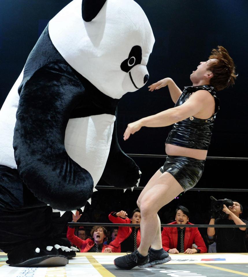 純烈・酒井 久々のマッスル参戦を振り返る「プロレスって感動するんだ