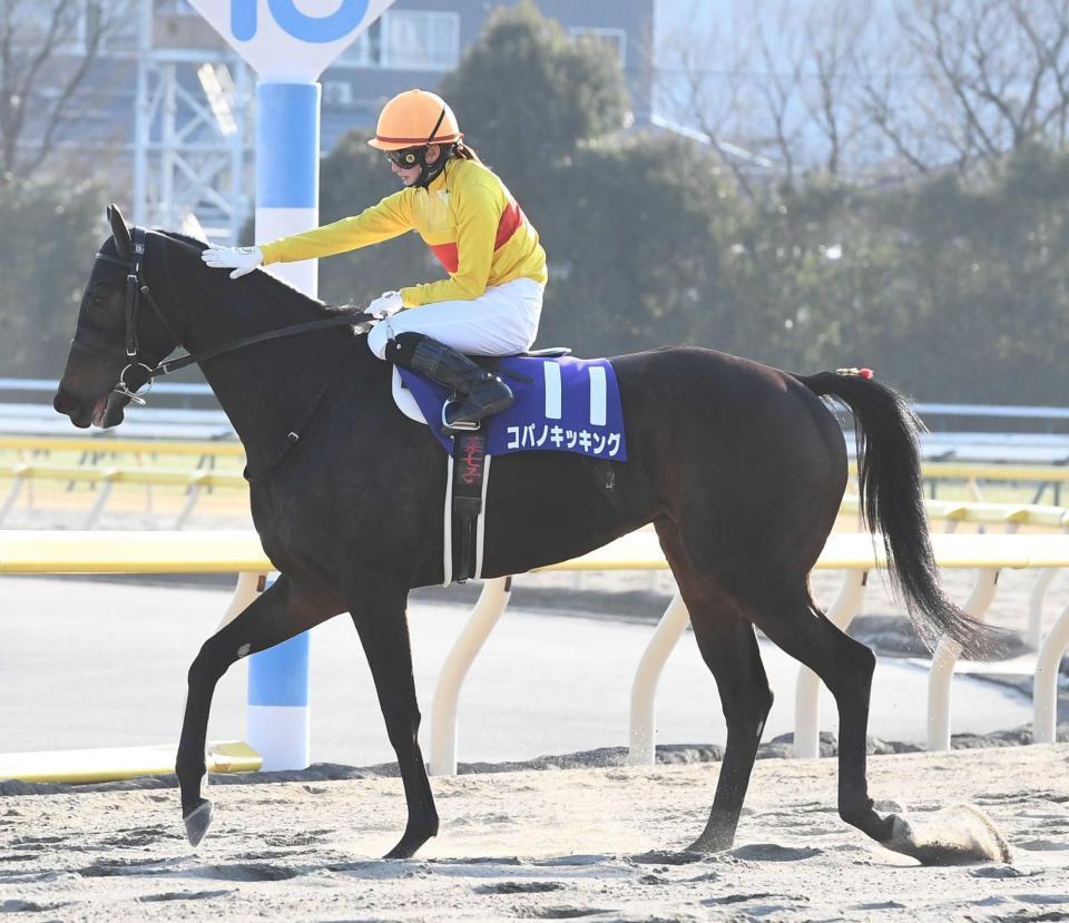 　５着に敗れたコパノキッキングと藤田菜七子＝２月１７日