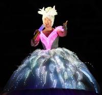 電飾の衣装で熱唱する小林幸子＝幕張メッセ（撮影・出月俊成）