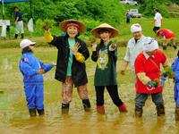 笑顔で田植えを行う小林幸子と中川翔子（左から２、３人目）＝新潟県長岡市山古志地区の小林幸子田