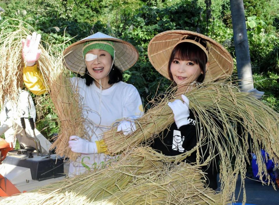 脱穀を行う小林幸子（左）、中川翔子＝新潟県長岡市