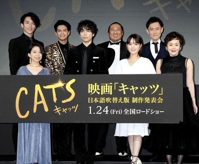 葵わかな ｃａｔｓ 声優 猫に一歩近づけた感じ 名作の実写化 芸能 デイリースポーツ Online