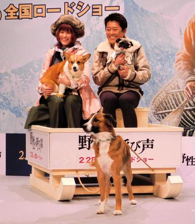 犬ぞりでの撮影に臨むＩＭＡＬＵ＆バルー（左）と坂上忍＆パグゾウ＝東京・恵比寿のザ・ガーデンルーム