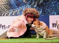 愛犬バルーとの２ショットを撮影するＩＭＡＬＵ＝東京・恵比寿のザ・ガーデンルーム