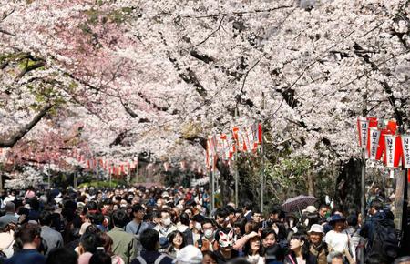　東京都台東区の上野公園で、桜を楽しむ花見客＝２０１８年３月
