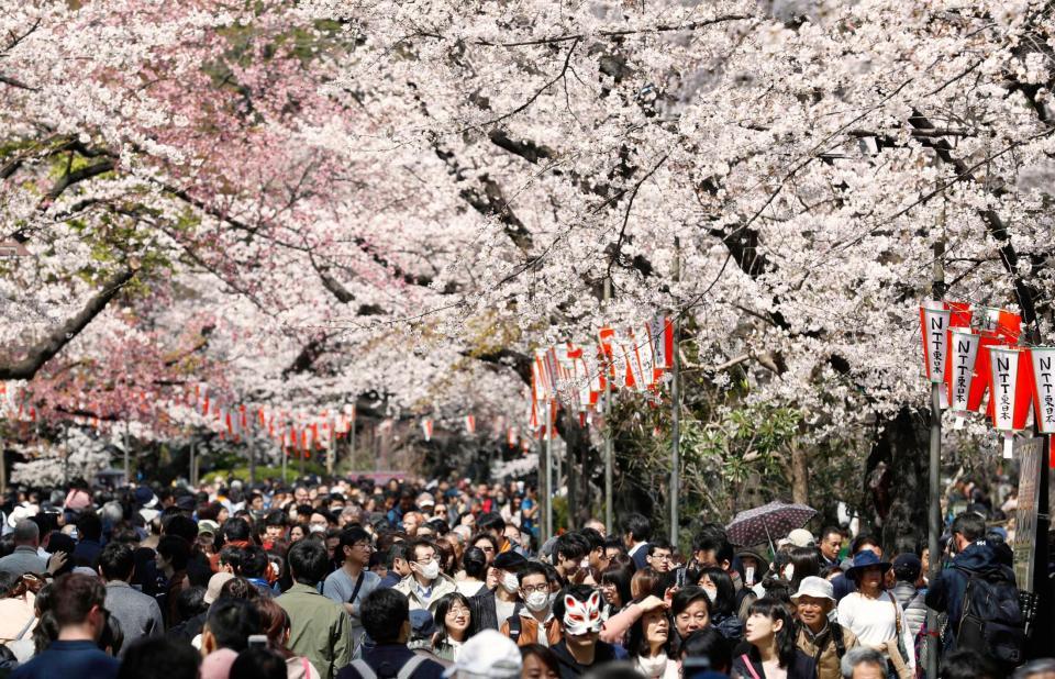 　東京都台東区の上野公園で、桜を楽しむ花見客＝２０１８年３月