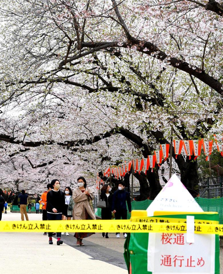 新型コロナウイルス対策で一部通路が通行止めになり、規制線の外に出る東京・上野公園の花見客　