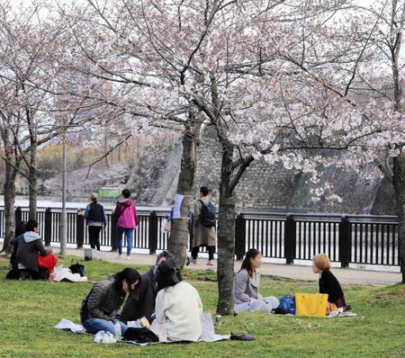 　大阪城公園で花見を楽しむ人たち（画像の一部を加工しています）