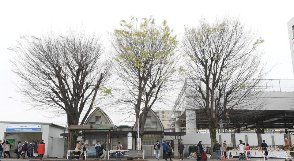 東村山駅東口を出たところには志村けんの木が３本並び立つ＝東京・東村山駅前