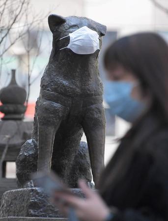 　マスクが付けられた忠犬ハチ公の像＝８日午前、ＪＲ渋谷駅前
