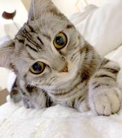 　ＹｏｕＴｕｂｅデビューする、まる