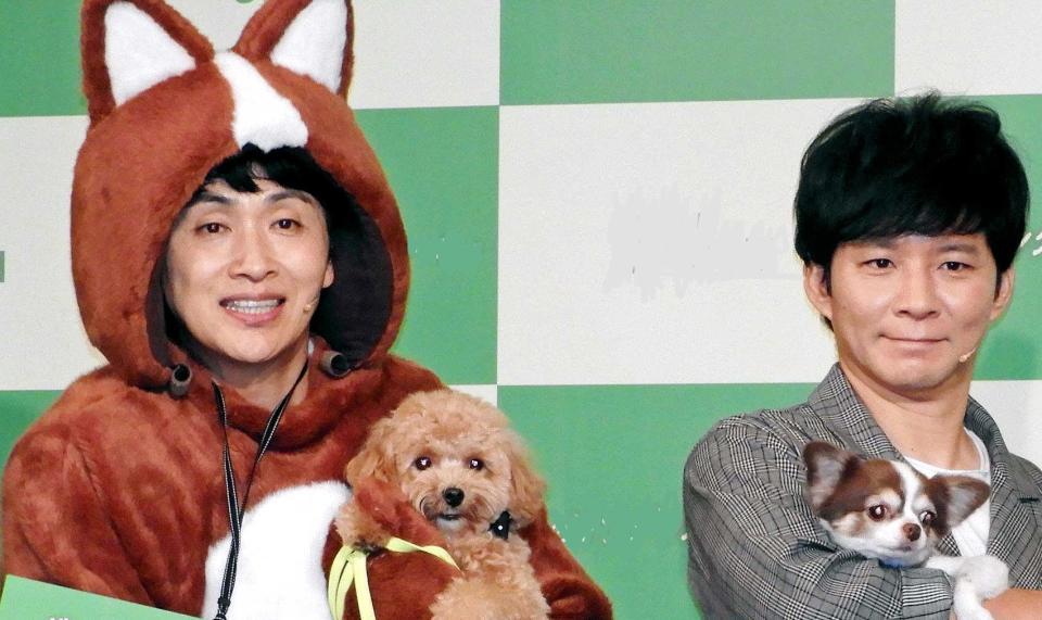 アンジャ児嶋一哉 新しい相方です 愛犬をテレビで生披露 芸能 デイリースポーツ Online