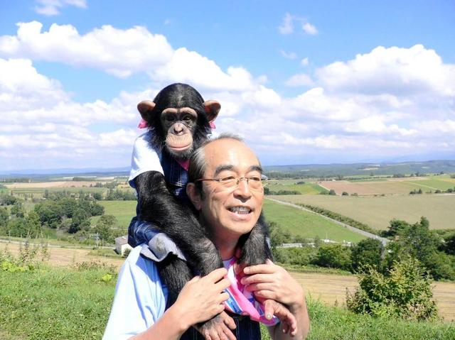 よみがえる 志村園長の動物愛 急逝から一周忌 どうぶつ園 レギュラー陣再集結 芸能 デイリースポーツ Online