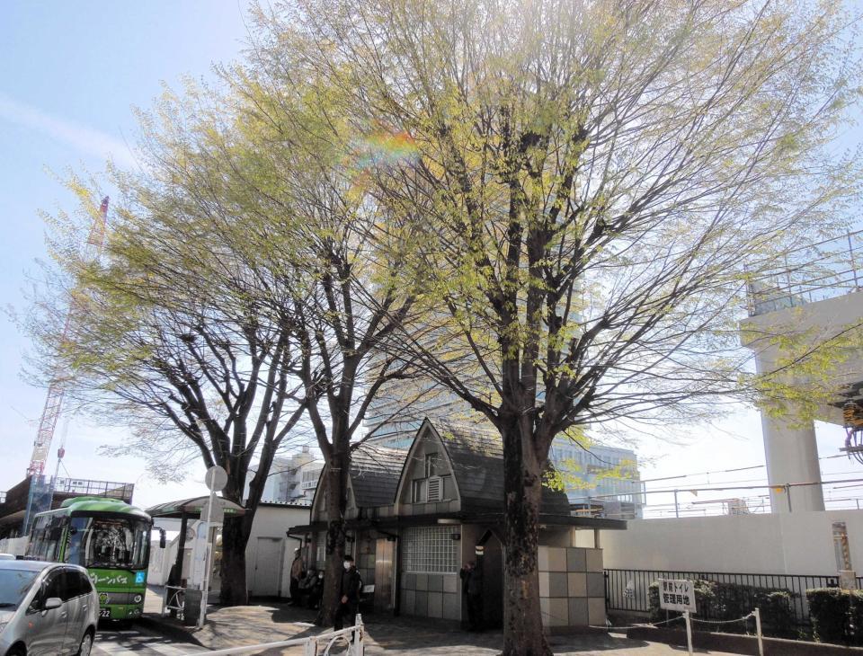 　東村山駅前にある「志村けんの木」