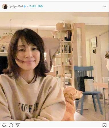 石田ゆり子 犬猫たちと暮らす部屋で自撮り 木製家具とブルー椅子 顔がまんまるですな 芸能 デイリースポーツ Online