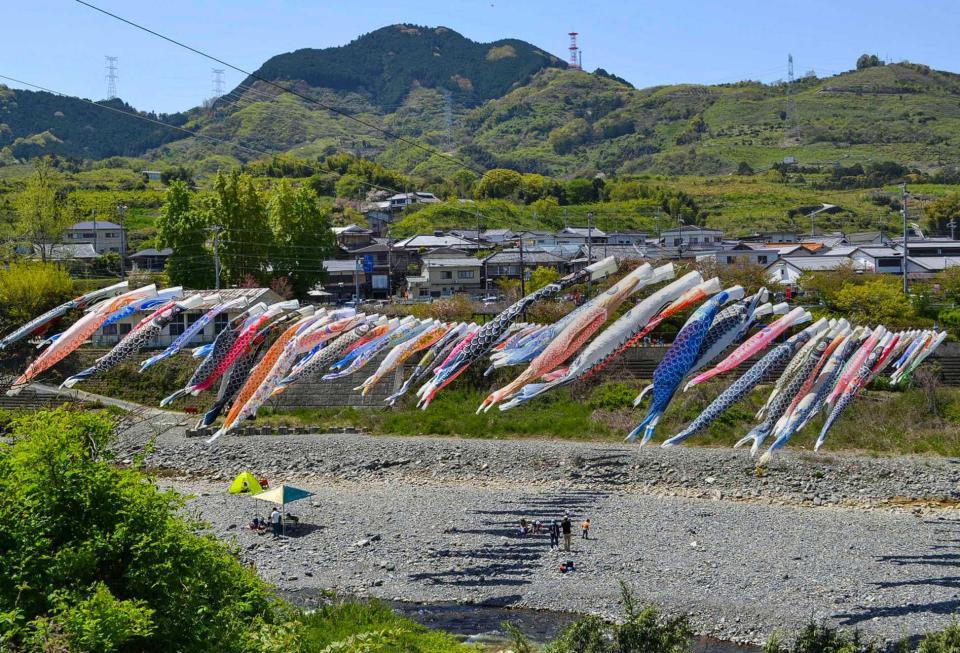 　和歌山県九度山町で始まった「こいのぼりの丹生川渡し」