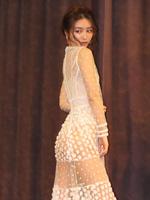 　大胆なシースルードレス姿を披露した加治ひとみ＝都内