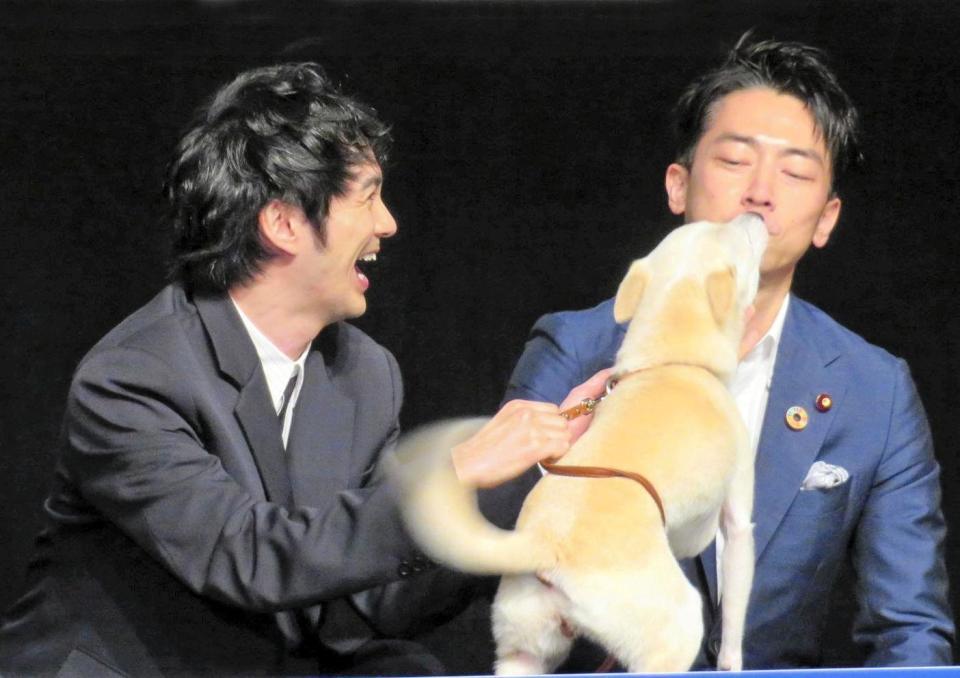 林遣都 撮影で仲良くなった犬に 母性が湧いて 芸能 デイリースポーツ Online