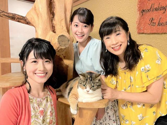 猫好きのカンテレ関純子アナ 猫イベント「にゃんだらけ」アンバサダー