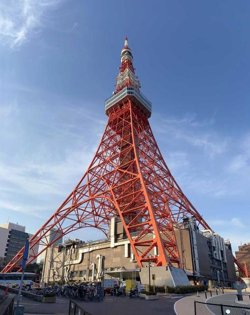偶然？ＳＭＡＰデビュー３０年記念日に東京タワーが６色ライトアップ「重陽の節句」で