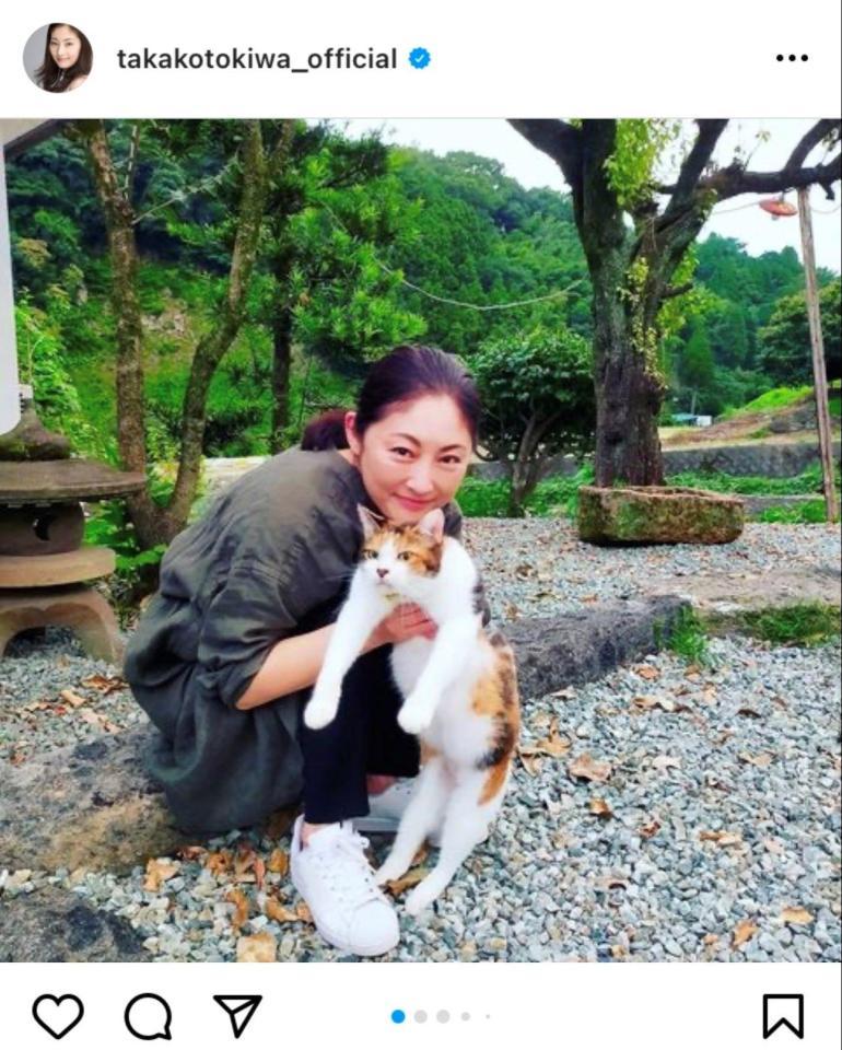 常盤貴子 猫と戯れる姿にネット かわいい 癒やされます 芸能 デイリースポーツ Online 常盤貴子 猫と戯れる姿にネット かわいい 癒やされます 芸能 デイリースポーツ Online