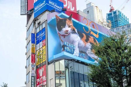 　新宿駅前で話題の巨大３Ｄ三毛猫とＺＡＲＤが期間限定でコラボする
