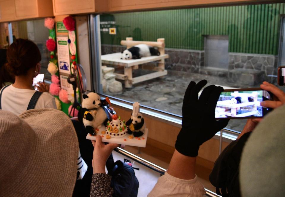 タンタンを写真に収める来場者らー神戸市灘区王子町３，神戸市立王子動物園（撮影・坂井萌香）