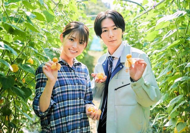 犬飼貴丈 松村沙友理と初共演ドラマで農業の魅力アピール ロケ前と意識変わった 芸能 デイリースポーツ Online