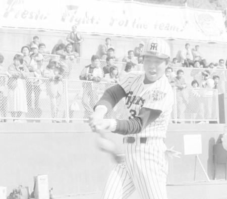 　キャンプ初日から快音を響かせる掛布＝１９８６年２月２日