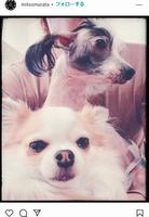 村田充のインスタグラム＠ｍｉｔｓｕｍｕｒａｔａより