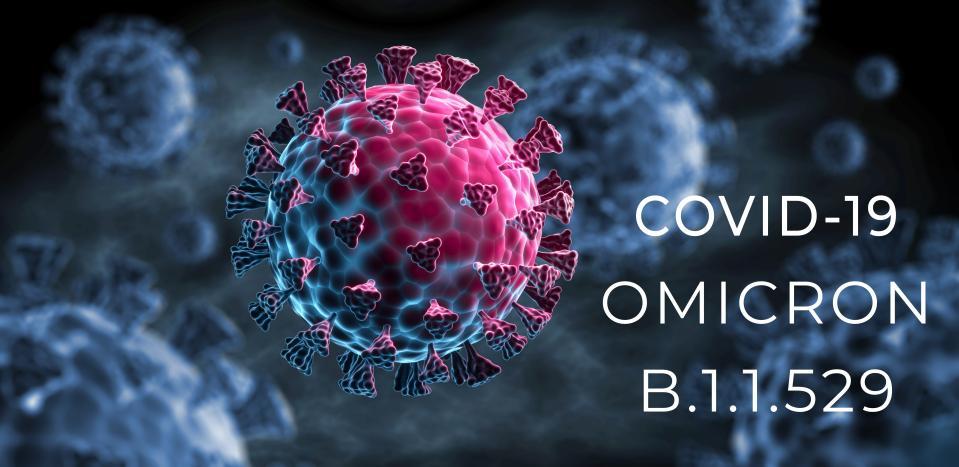 　感染力の強さが際立つオミクロン株peterschreiber.media stock.adobe.com