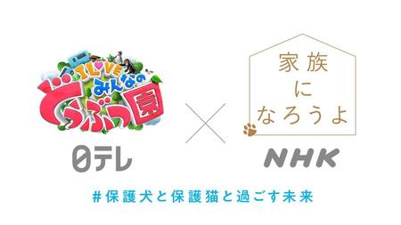 　日本テレビとＮＨＫがタッグを組む