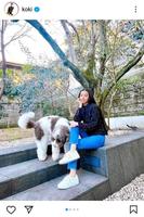 　Ｋｏｋｉ，のインスタグラム＠ｋｏｋｉより