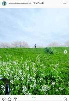 市川海老蔵のインスタグラム＠ｅｂｉｚｏｉｃｈｉｋａｗａ．ｅｂｉｚｏｉｃｈｉｋａｗａから