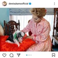 ２月に亡くなった愛犬との写真をインスタグラム＠ｄｅｗｉｓｕｋａｒｎｏｏｆｆｉｃｉａｌで報告していた