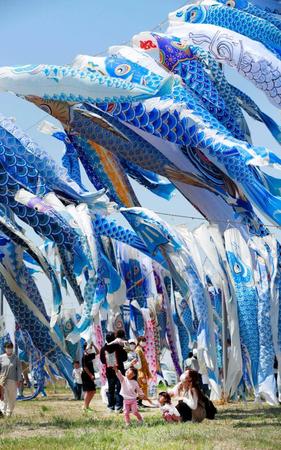 　東日本大震災で犠牲になった子どもたちの鎮魂と未来への思いを込めて空を泳ぐ約６５０匹の青いこいのぼり