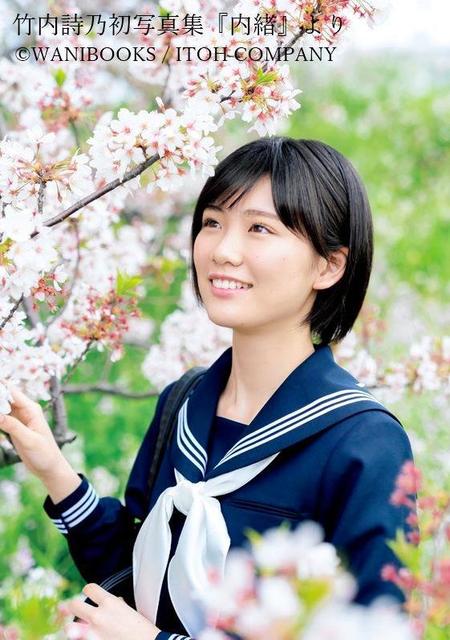 女竹　篠竹 　5本セットR8ー1 女竹 篠竹 5本セットR8ー1 カテゴリー 【公式通販】