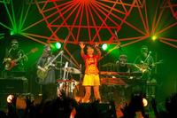 　全国ツアー「この街」の千秋楽公演で、今秋のデビュー35周年記念ライブ開催を発表した森高千里