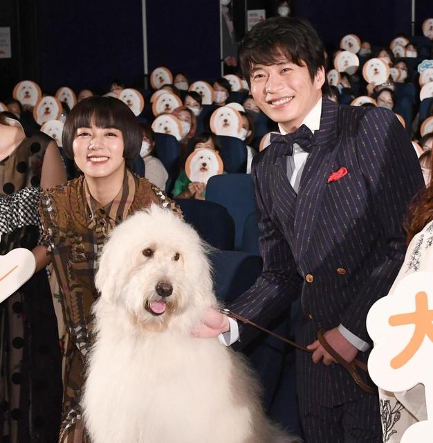 田中圭 主演の大型犬ベックとお散歩登壇 天才俳優犬です 芸能 デイリースポーツ Online