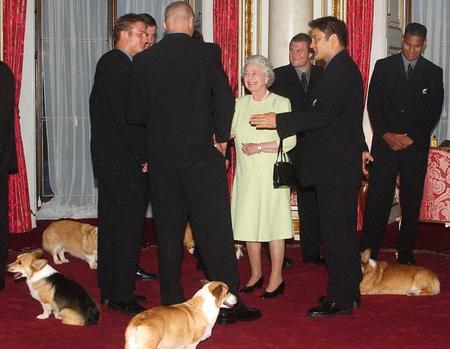 　来客と面会するエリザベス女王の近くに集まったコーギー＝２００２年１１月（ＡＰ＝共同）