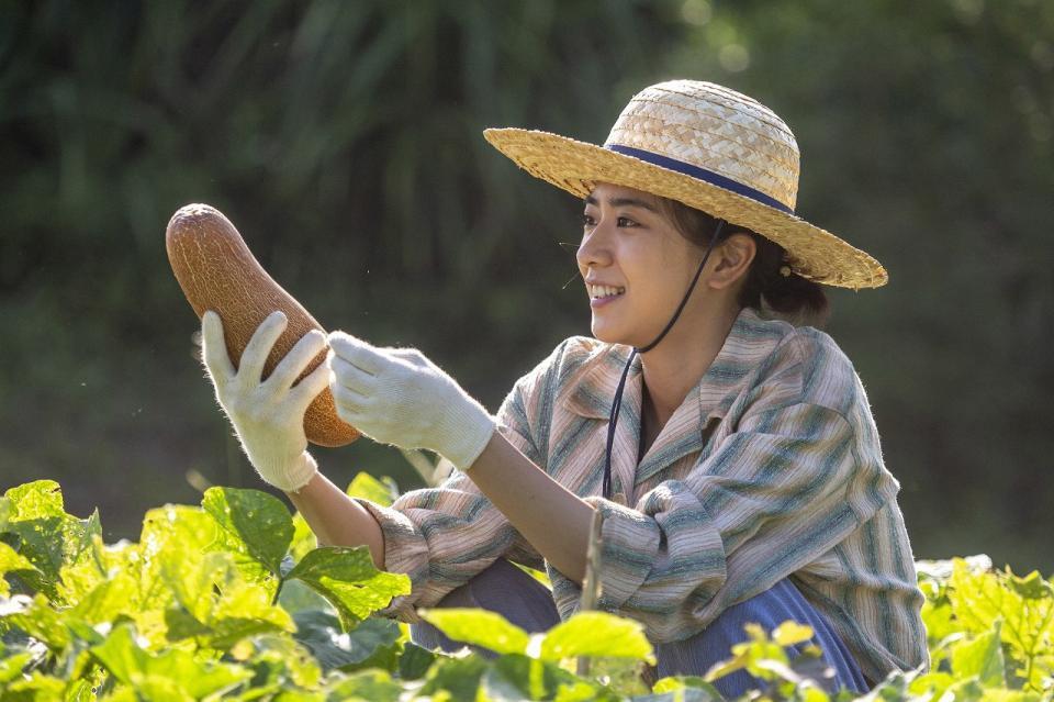 やんばるで採れたての野菜を手にする暢子（黒島結菜）