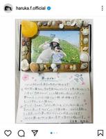 福原遥のインスタグラム（ｈａｒｕｋａ．ｆ．ｏｆｆｉｃｉａｌ）より