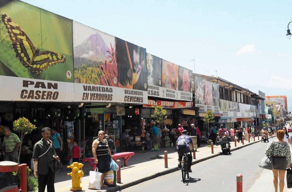 　首都のサンホセ。いたるところに固有種のポスターが（本人提供）