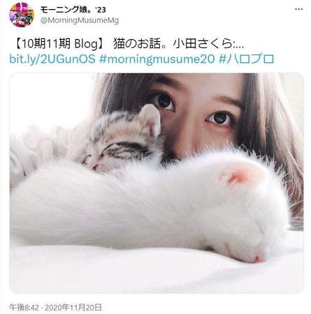 モーニング娘。’２３公式ツイッター＠ＭｏｒｎｉｎｇＭｕｓｕｍｅＭｇより