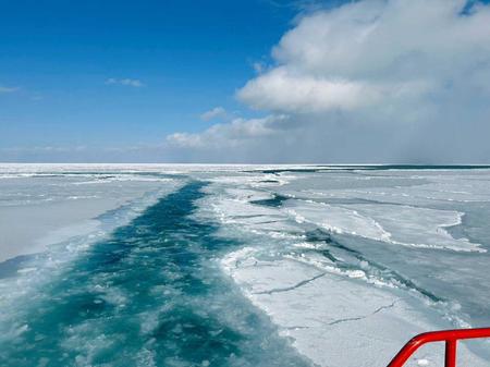 　北海道紋別市沖で観光砕氷船から撮影された流氷（乗客提供）