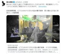 西川貴教のツイッター＠ＴＭＲ１５から