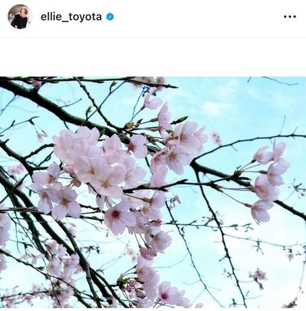 　豊田エリーのインスタグラム＠ｅｌｌｉｅ＿ｔｏｙｏｔａより